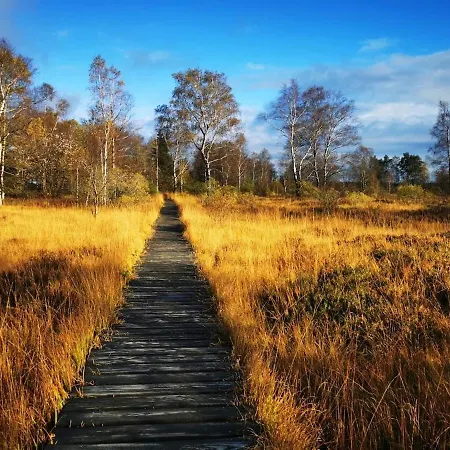 Schiller Ferienwohnung, Pool, Nideggen, Eifel Apartmán Nideggen