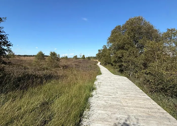 Schiller Ferienwohnung, Pool, Nideggen, Eifel