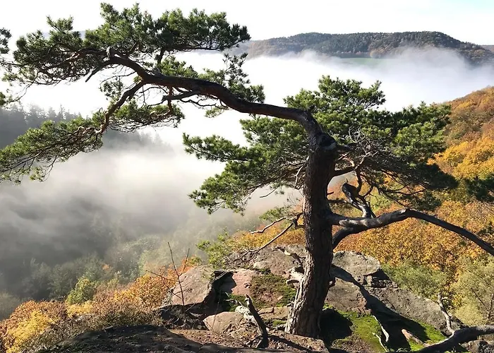Schiller Ferienwohnung, Pool, Nideggen, Eifel Nideggen