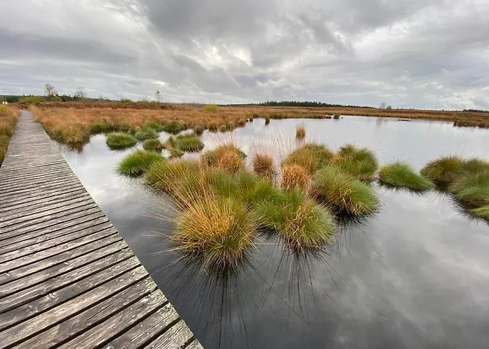 Schiller Ferienwohnung, Pool, Nideggen, Eifel * 尼蒂戈恩