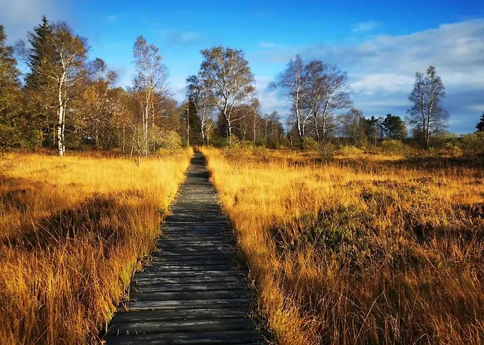 Schiller Ferienwohnung, Pool, Nideggen, Eifel Apartmán Nideggen