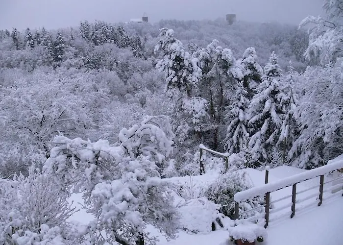 Schiller Ferienwohnung, Pool, Nideggen, Eifel 公寓 尼蒂戈恩