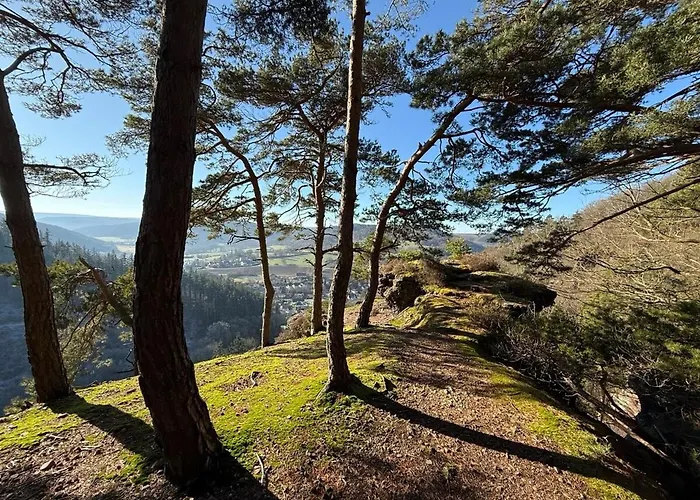 Schiller Ferienwohnung, Pool, Nideggen, Eifel * 尼蒂戈恩